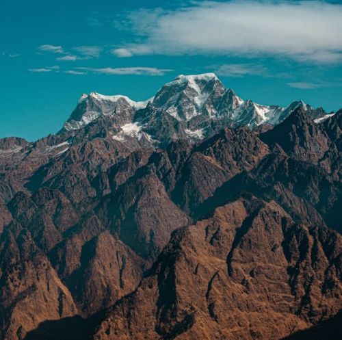 Auli