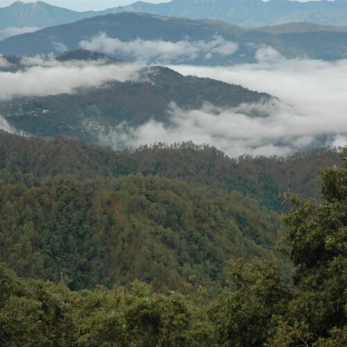 offbeat-kumaon-forests-rafts-himalayan-trails