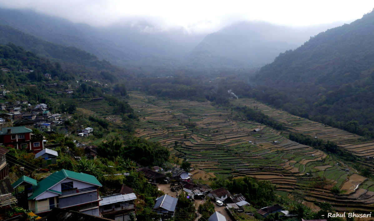 Terraced fields at Khonoma, Nagaland