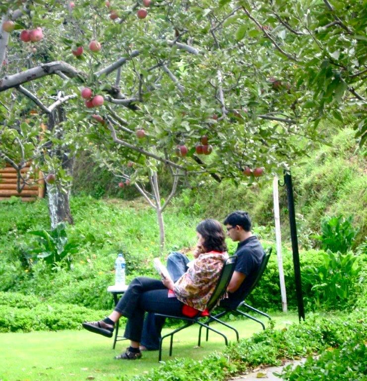 Couple resting under the Apple Trees.