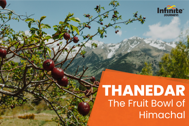 The Ultimate Guide to Thanedar "Fruit Bowl of Himachal"