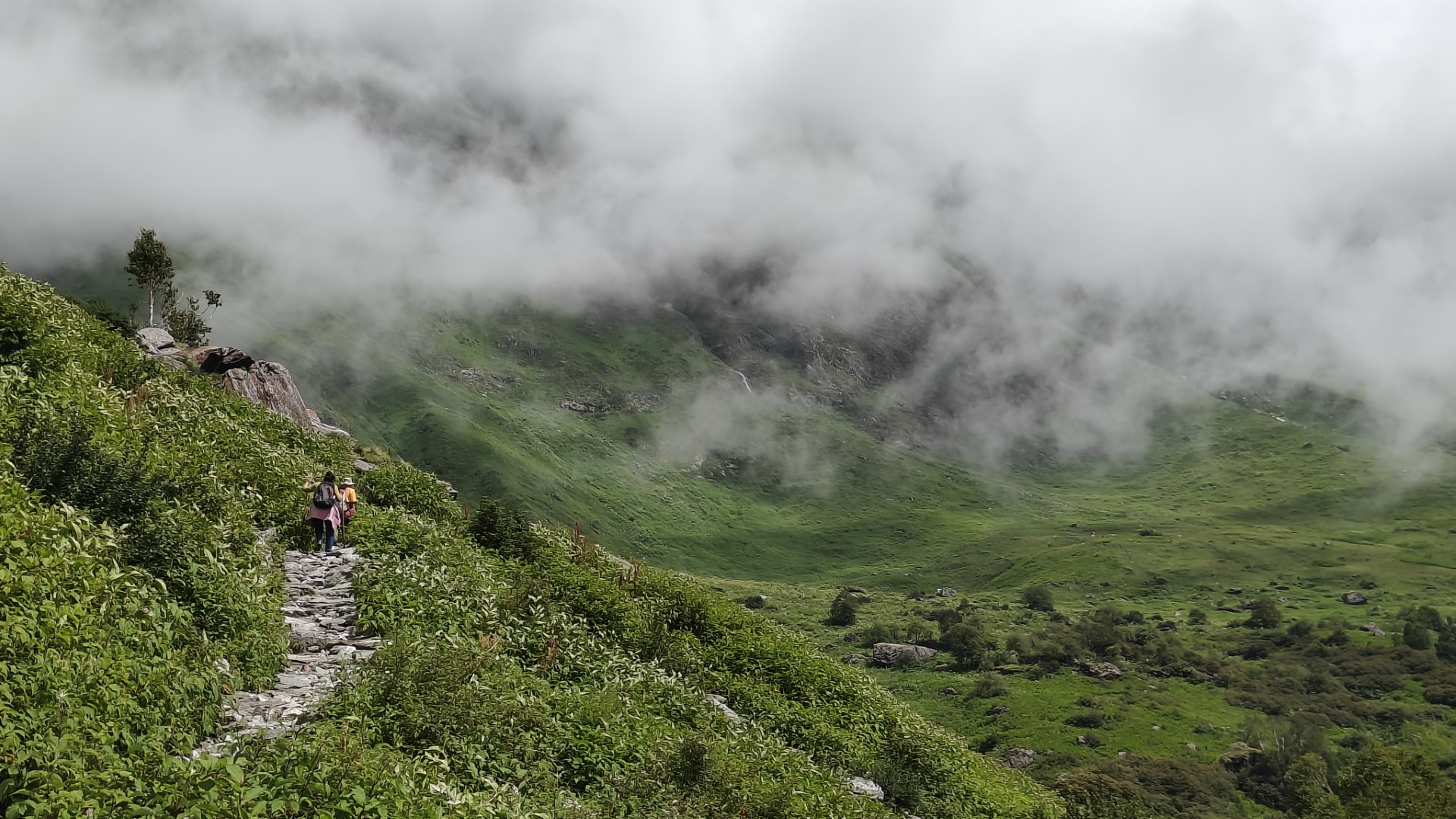 Panoramic view of the Valley of Flowers