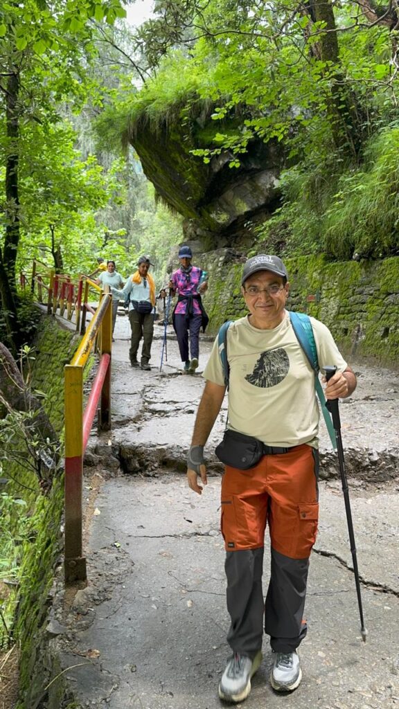 Trekking through pine forests on the way to Ghangharia in Uttarakhand
