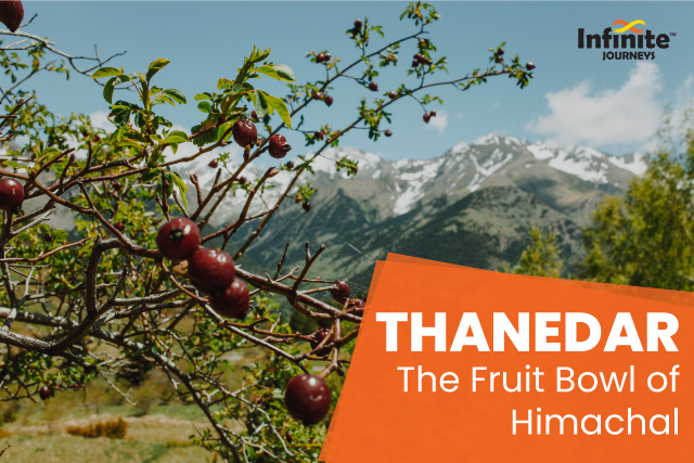Thanedar Fruit Bowl of Himachal