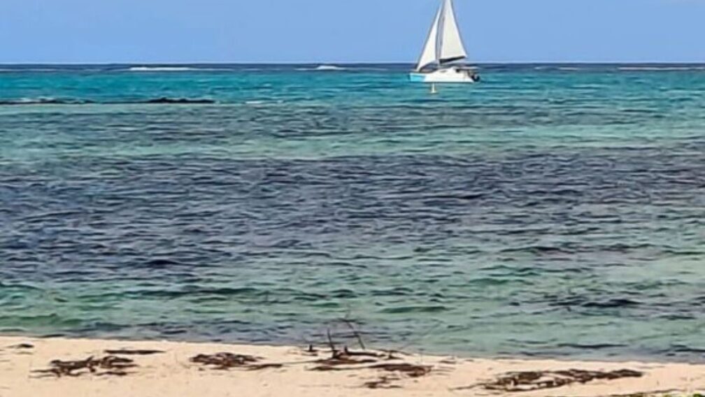 How to Plan the Perfect Holiday to Mauritius: A Complete Travel Guide