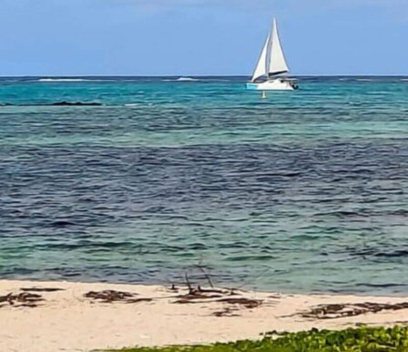 How to Plan the Perfect Holiday to Mauritius: A Complete Travel Guide