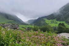 Valley of Flowers & Hemkund 2025