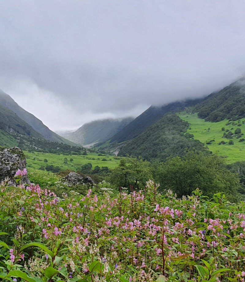 Valley of Flowers & Hemkund 2025
