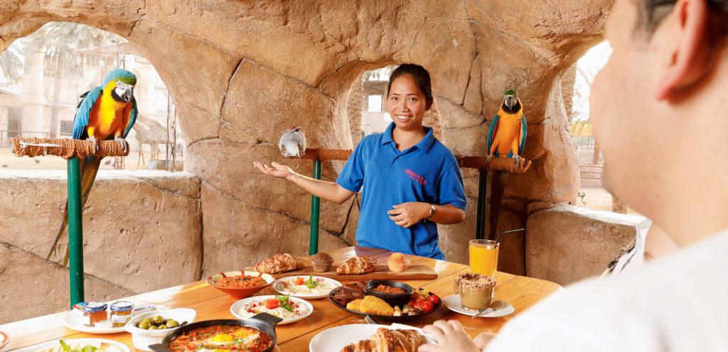 This spectacular experience of feeding them while having lunch at Jurong Bird Park is worth the time spent with kids. (PC - Jurong Bird Park)