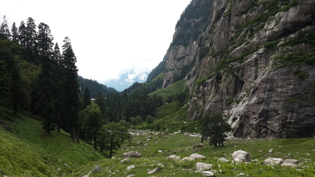 The first stretch of the trek winds through these pine-scented trails