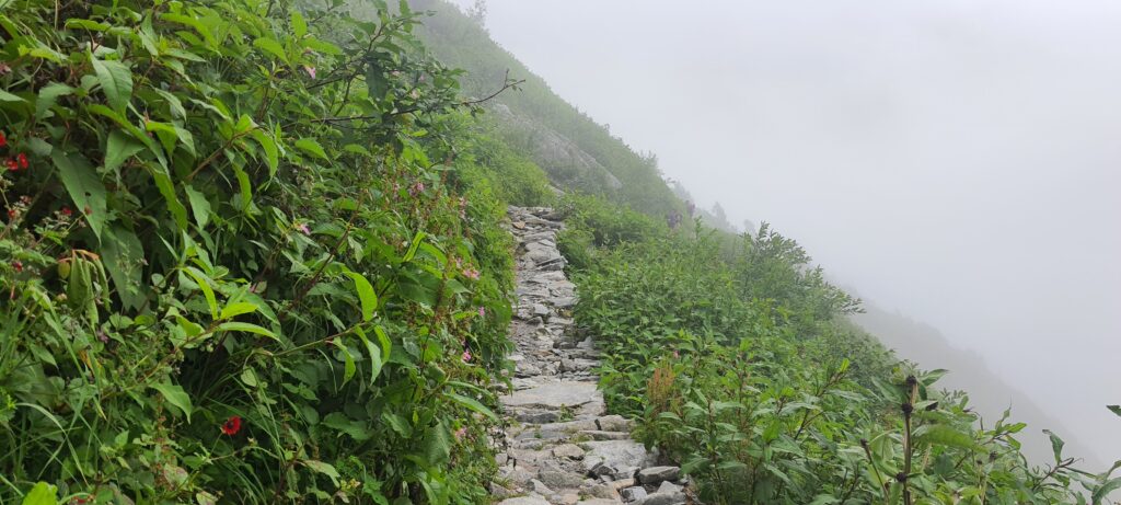 Climbing into the clouds—this trail to Hemkund Sahib tests your legs and lifts your spirit