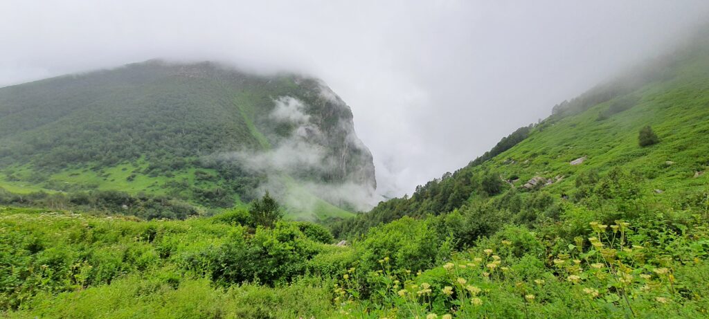 Lose yourself in the mesmerizing panoramic beauty of the Valley of Flowers — where nature paints with every color imaginable
