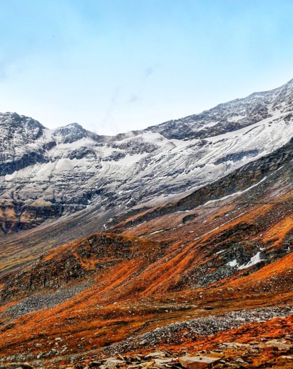 Ali Bedni Bugyal Trek : Exploring Uttarakhand’s Breathtaking Alpine Meadows