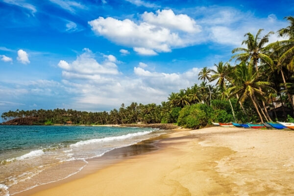 Sri Lanka Cultural, Hill Country & Southern Beach Grand Escape – 8 Nights