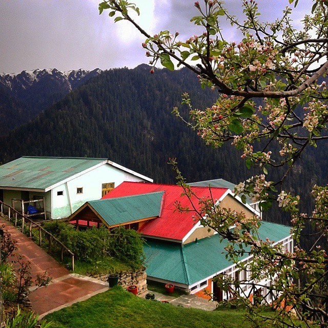 Option 1 : Your abode in Clouds @8300 Feet - near Kulu / Jalori Pass