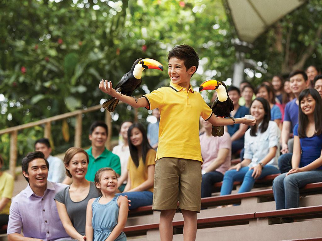 Jurong bird park offers daily sessions where you can feed the birds, be sure to check the timings with us. (PC - Jurong Bird Park)