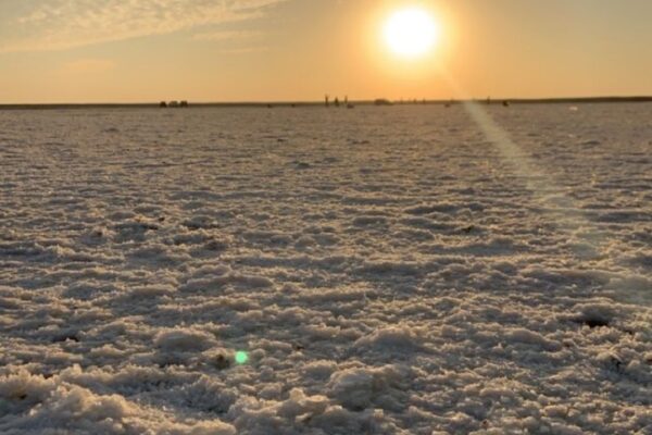 Rann Utsav Grand Experience – White Desert Celebration