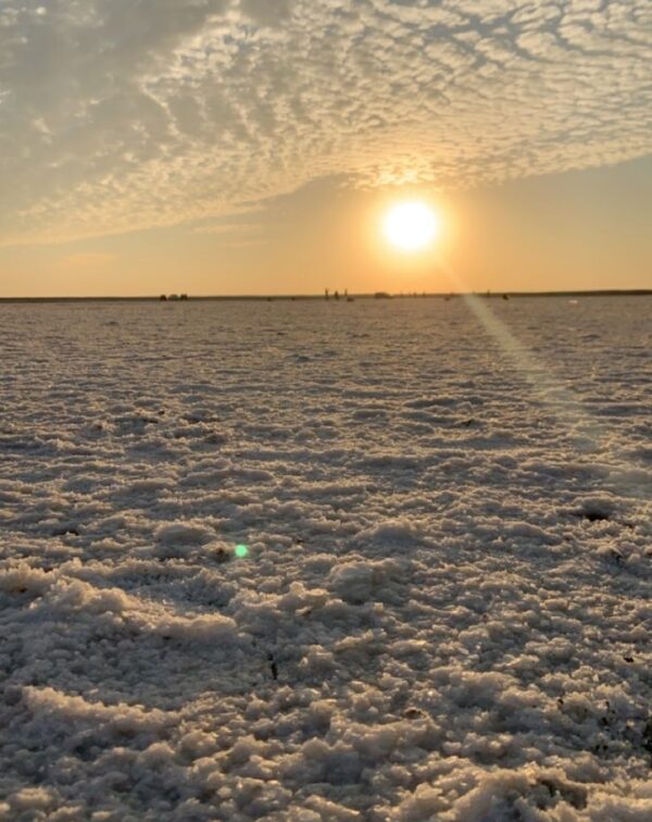 Rann Utsav Grand Experience – White Desert Celebration