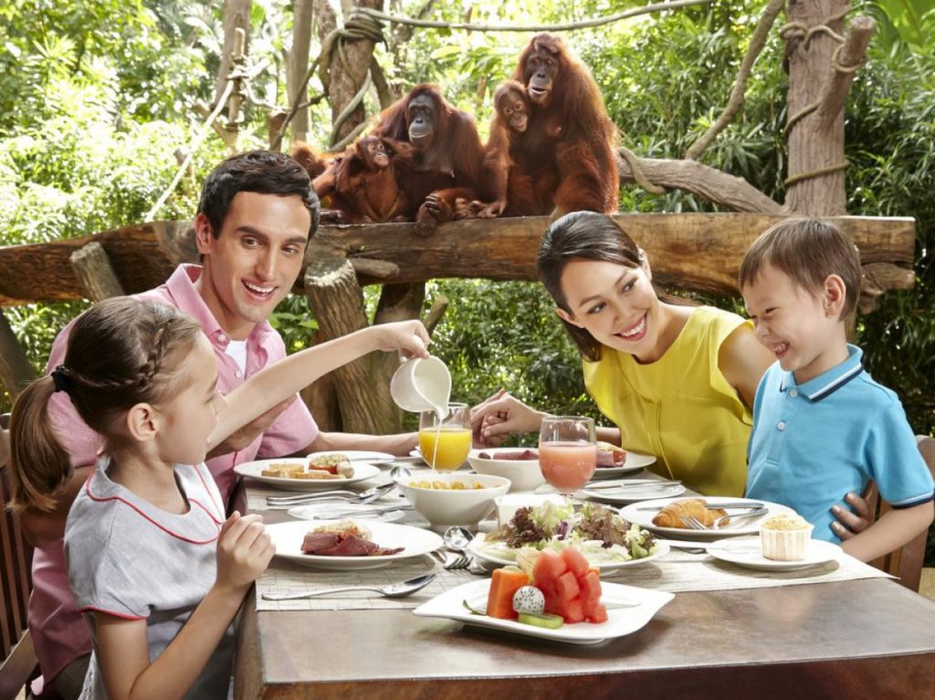 Grab the unusual opportunity of having breakfast with Orangutans, kids will be fascinated to the core! (PC - Singapore Zoo)