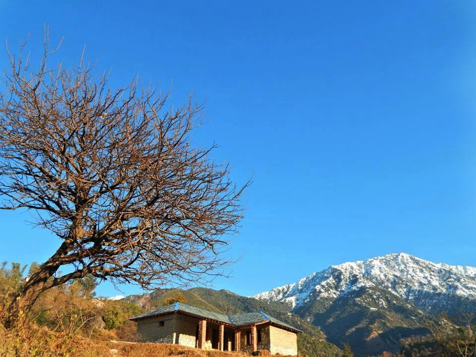 Option 6 : Your home next to a stream, surrounded by Hills and away from the civilization! - near Palampur (Himachal)