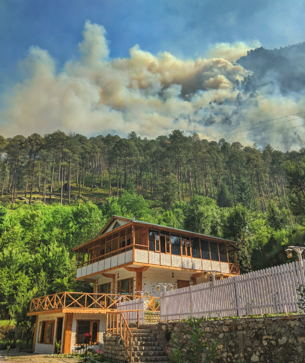 Option 3 : A home in the Hills that is at the edge of the Forest - Tirthan (near Kulu)