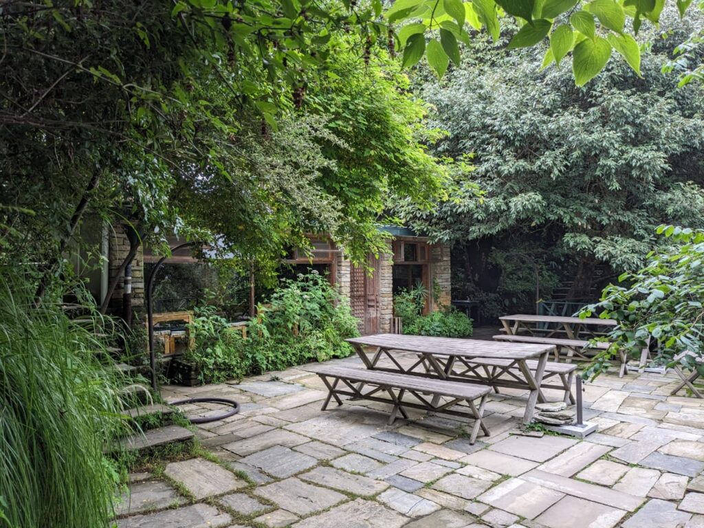 A pause placed by the forest — where silence sits with you