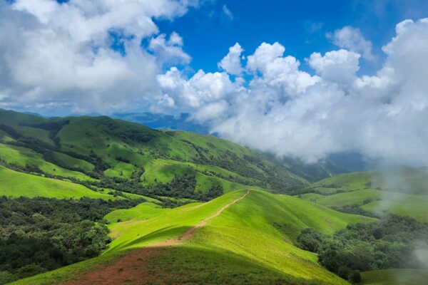 Coffee Highlands & Hoysala Heritage: Coorg to Chikmagalur Journey