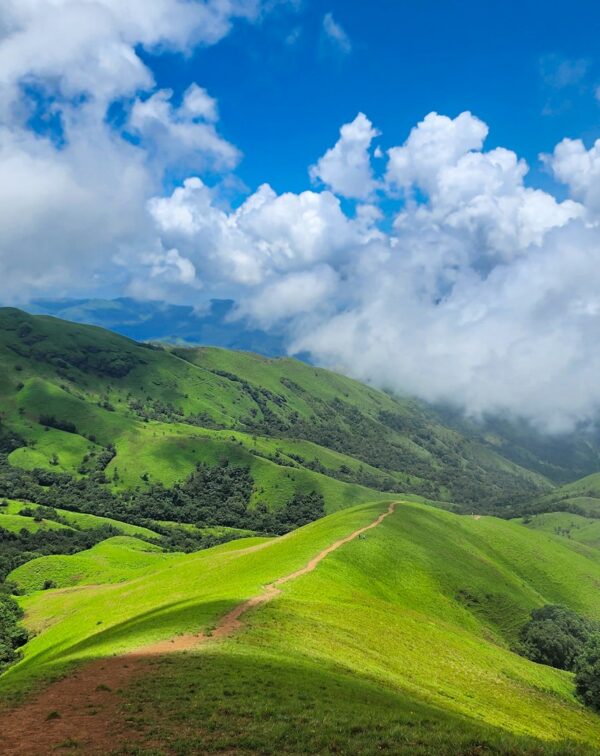 Coffee Highlands & Hoysala Heritage: Coorg to Chikmagalur Journey