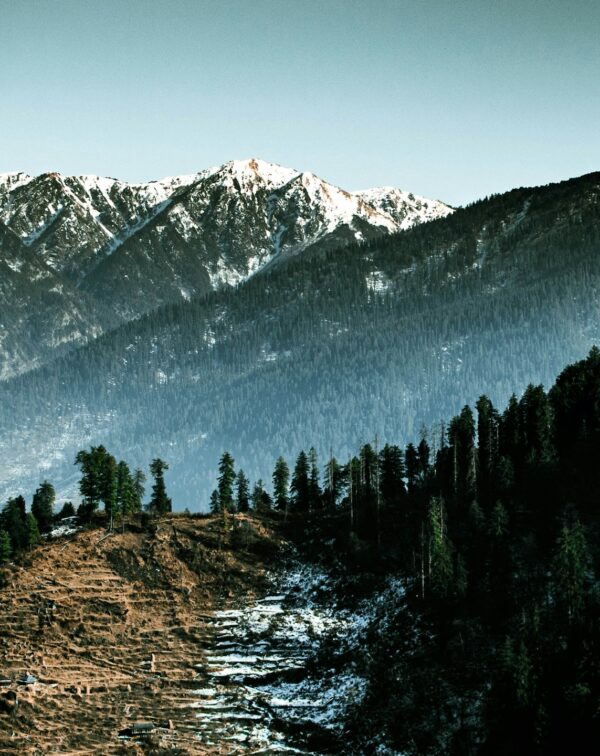 Orchards to Forest Trails: Thanedar, Sojha & Tirthan Slow Himalayan Escape