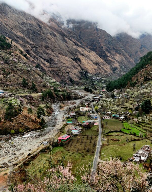 Offbeat Himachal (Shoja & Tirthan)