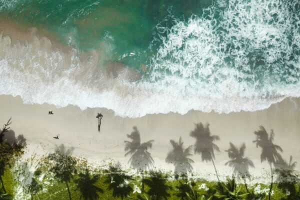 Azure Andaman Escape: Port Blair & Havelock Retreat