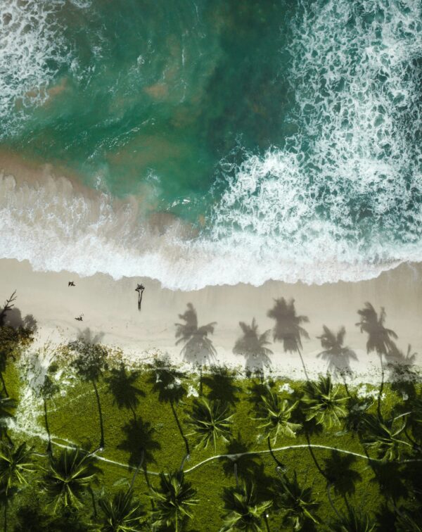 Azure Andaman Escape: Port Blair & Havelock Retreat