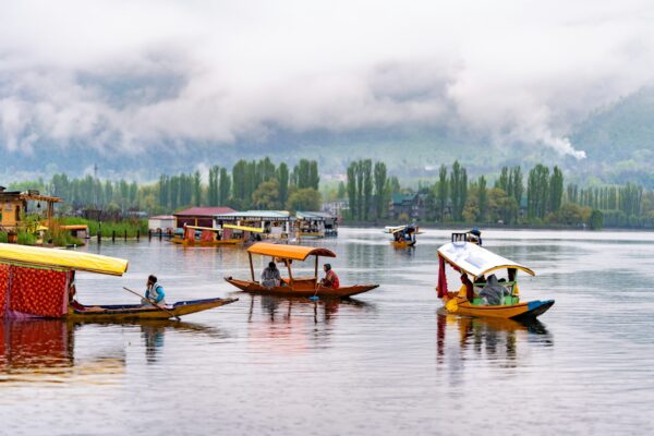 Meadows of Gold: Srinagar to Sonmarg Alpine Escape