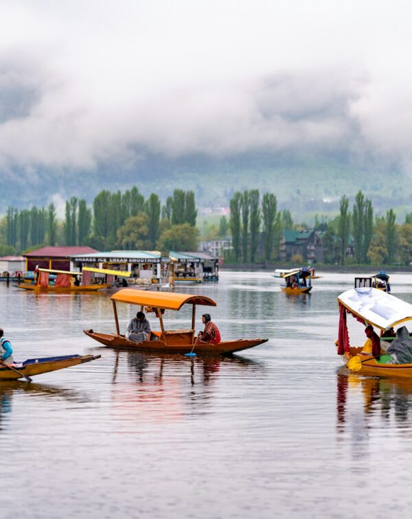 Meadows of Gold: Srinagar to Sonmarg Alpine Escape