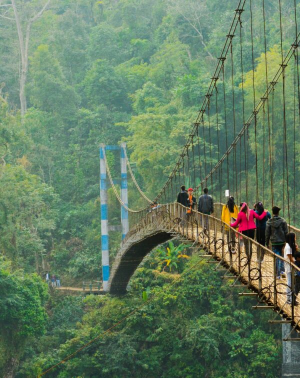 Mystical Meghalaya and Wild Assam