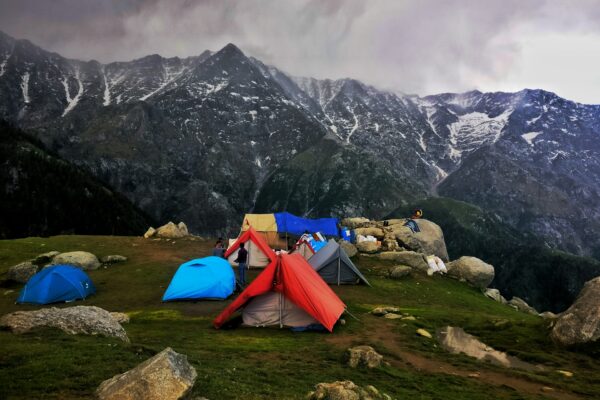 Monasteries, Tea Trails & Sky Views: Dharamshala, Palampur & Bir Escape