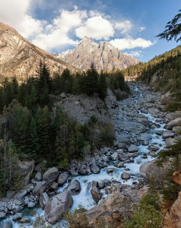 Orchards to Alpine Valleys: Thanedar & Sangla Himalayan Journey