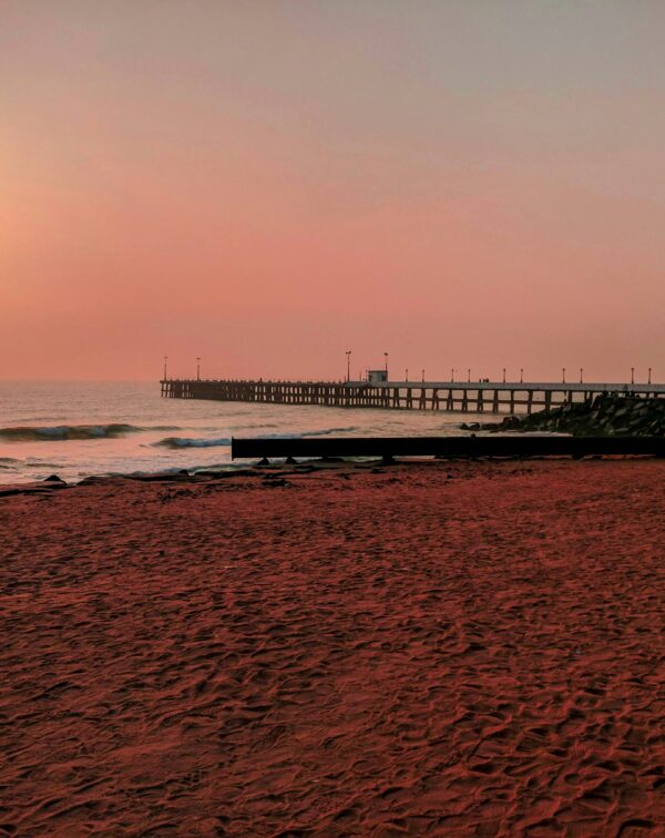 Coromandel Coast Chronicles: Heritage, Sea & Slow Living