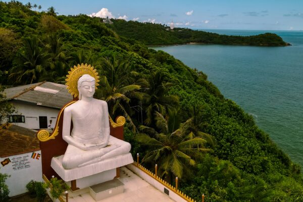 Sri Lanka Highland & Coastal Escape – 6 Nights Scenic Journey