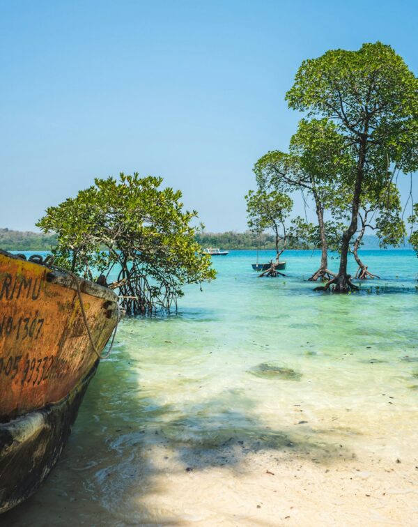Island Triad of Andaman: Port Blair, Havelock & Neil Escape