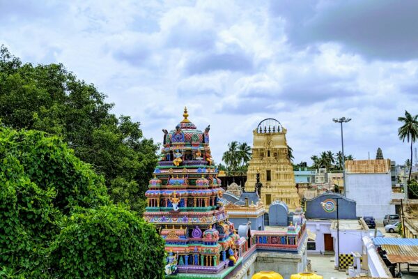 Sacred Shores & Temple Kingdoms: Tamil Nadu Heritage Journey