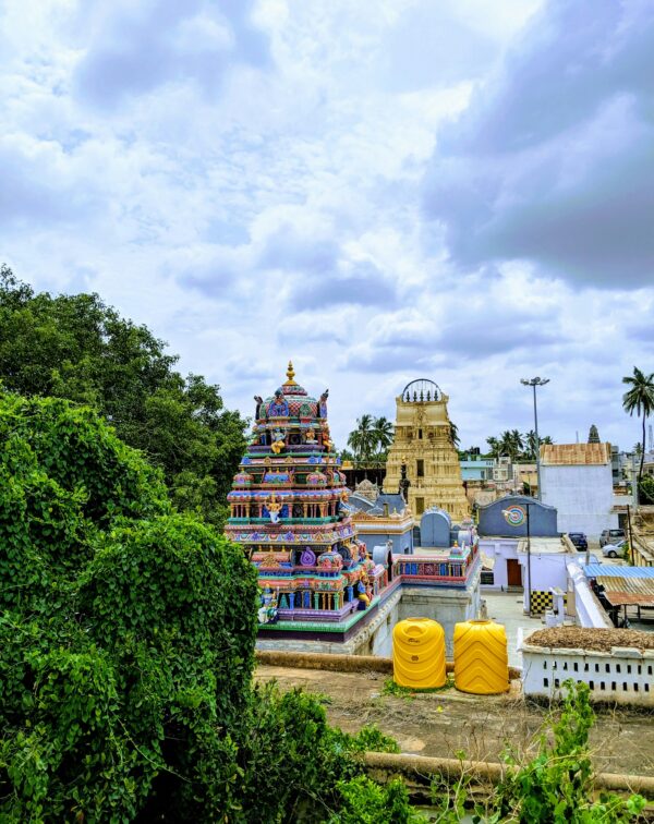 Sacred Shores & Temple Kingdoms: Tamil Nadu Heritage Journey