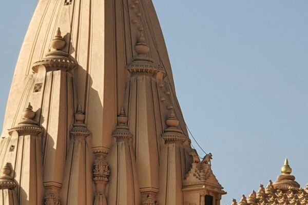 Sacred Shores of Gujarat: Temples, Lions & Coastal Heritage