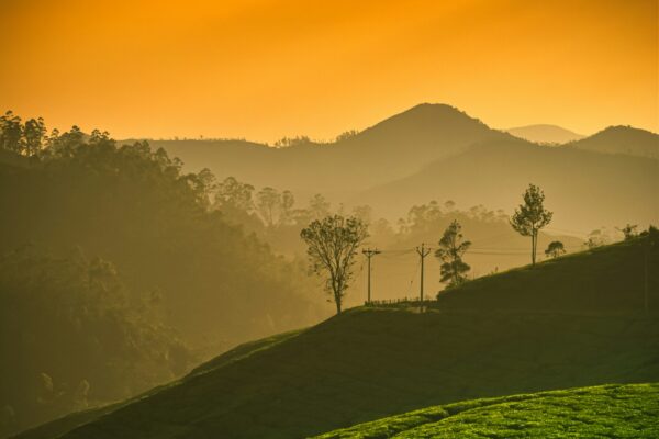 Kerala & Kanyakumari Coastal Escape