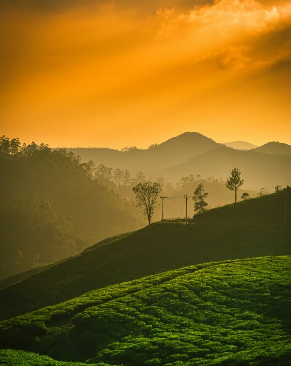 Kerala & Kanyakumari Coastal Escape