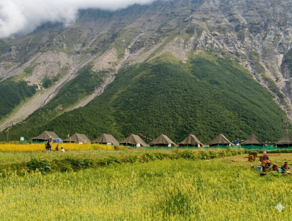 Swiss tents in green fields at Sural Bhatori village in Pangi Valley surrounded by steep Himalayan mountains (Himalayan Overland Safari)