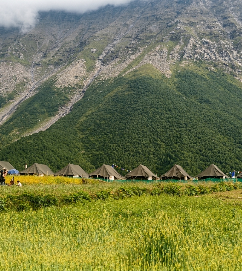 Swiss tents in green fields at Sural Bhatori village in Pangi Valley surrounded by steep Himalayan mountains (Himalayan Overland Safari)