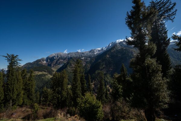 Hidden Himalayas: Sonaugi to Sojha Retreat
