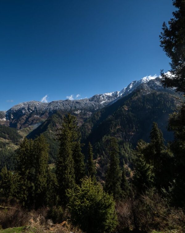 Hidden Himalayas: Sonaugi to Sojha Retreat