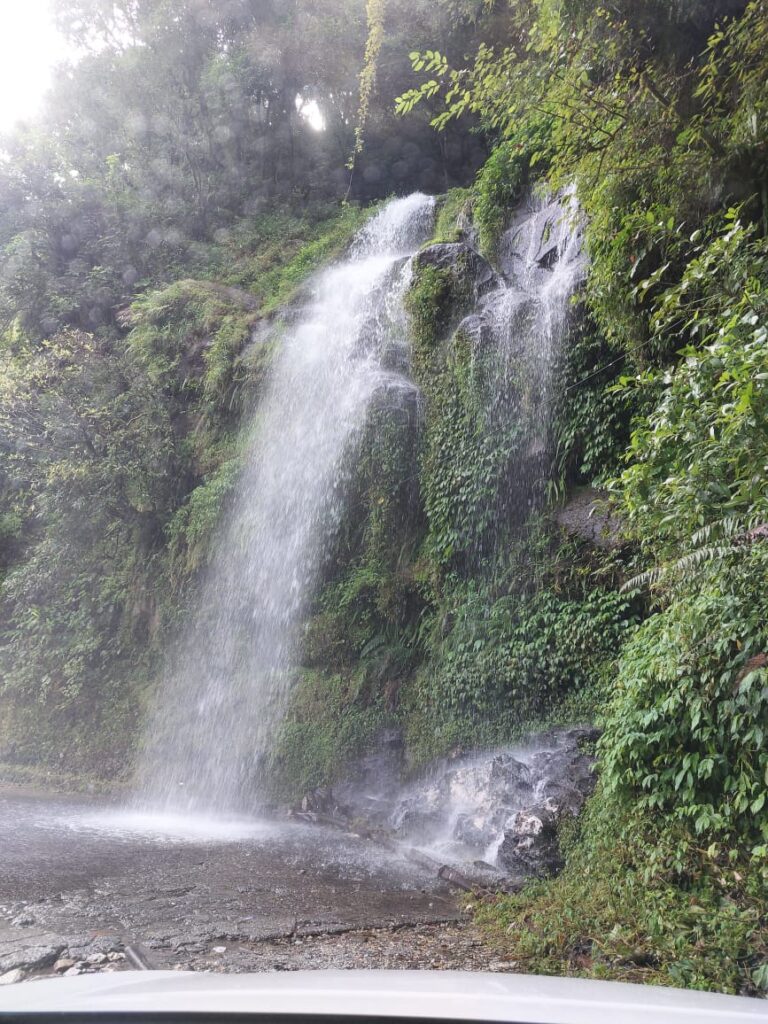 A lush green hillside with a waterfall cascading down onto a paved road.
